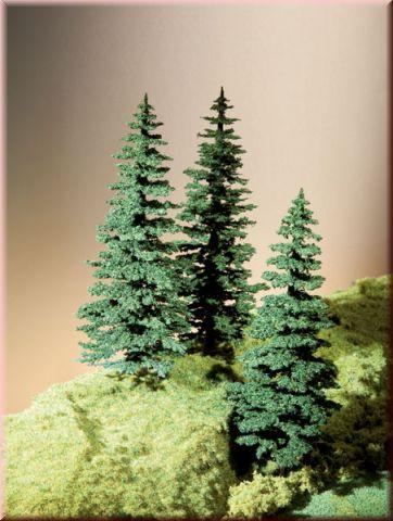 3 evergreens